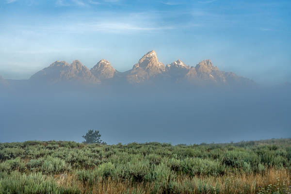 Foggy Morning at the Grand Teton National Park