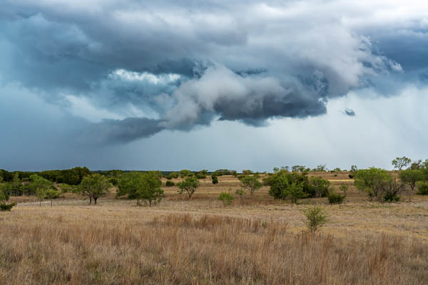 Field and Storm