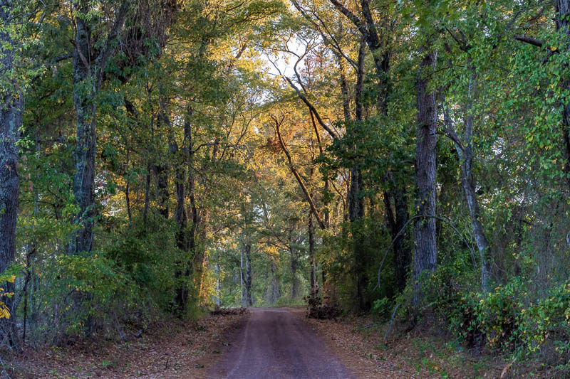 Evening Light in Marshall, Texas