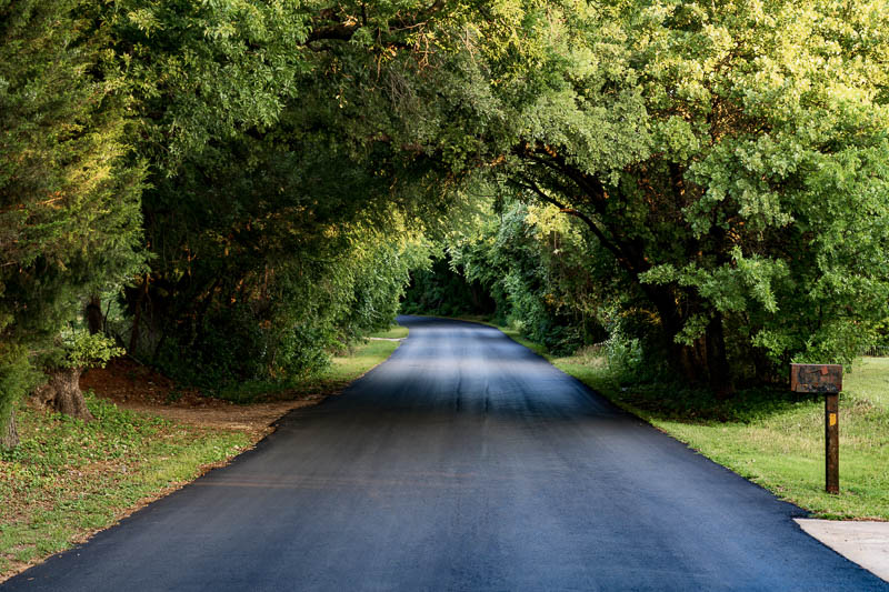 Road & Trees, Mansfield, TX